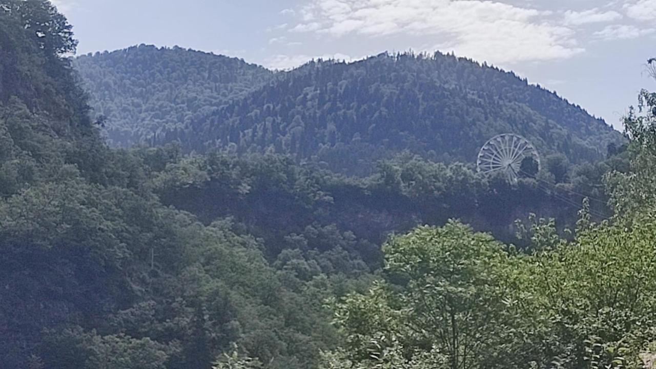 Hotel Borjomi Nest Esterno foto